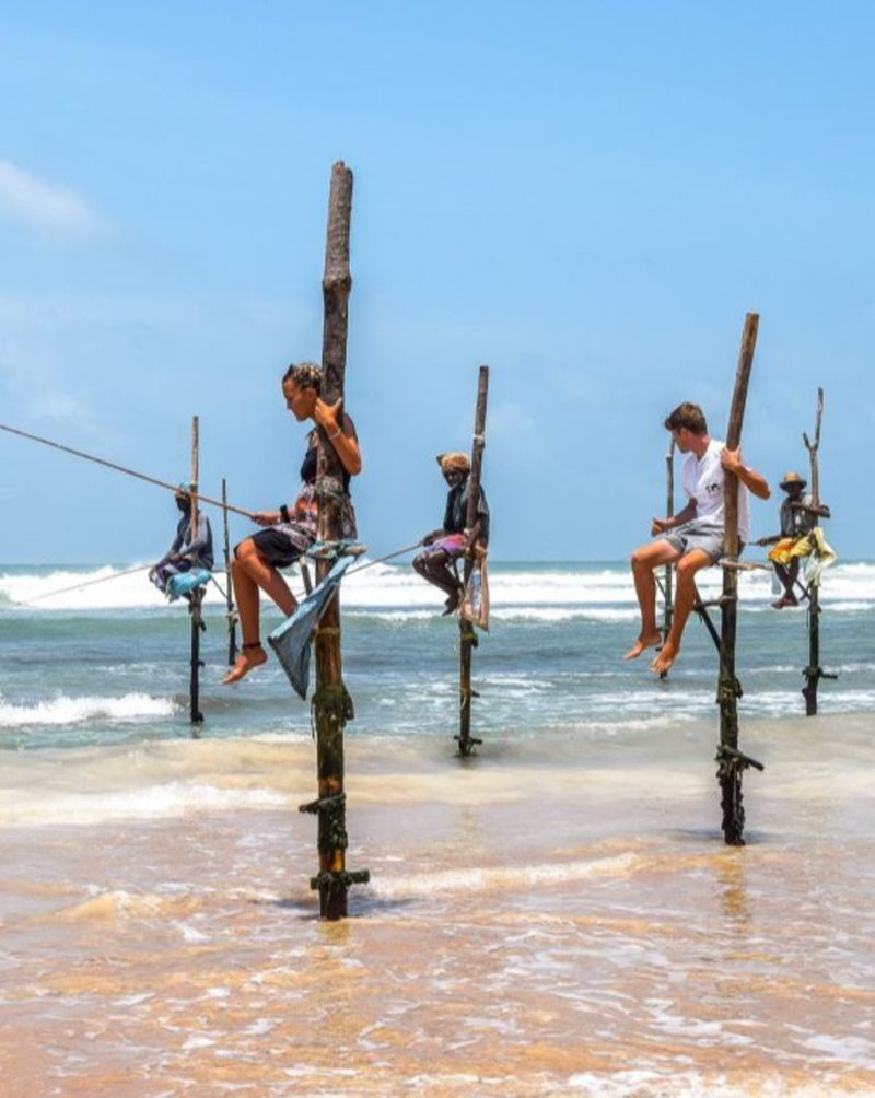 stilt fishing in  Sri Lanka