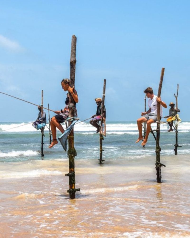 stilt fishing in  Sri Lanka