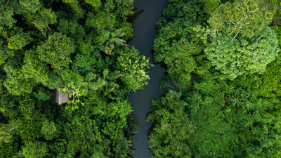 Aerial view of Peruvian Amazon rainforest