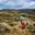 Ours. Olmoti Crater, near Munge River Ngorongoro CA, Highlands with Masai guide wearing traditional red blanket and official ranger