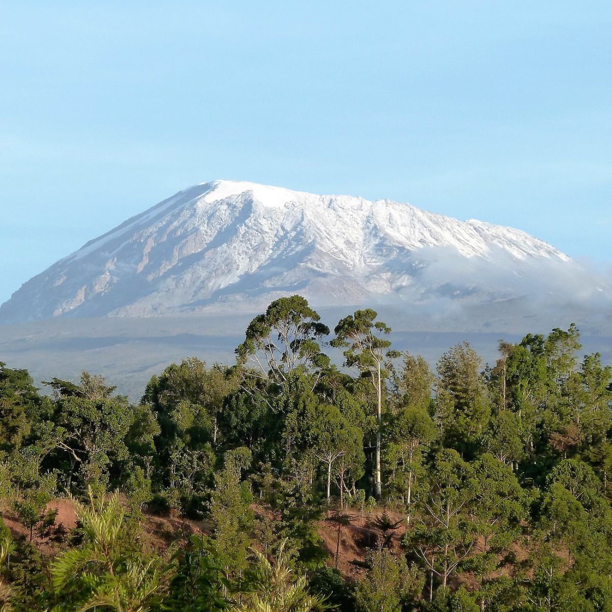 Kilimanjaro from a distance