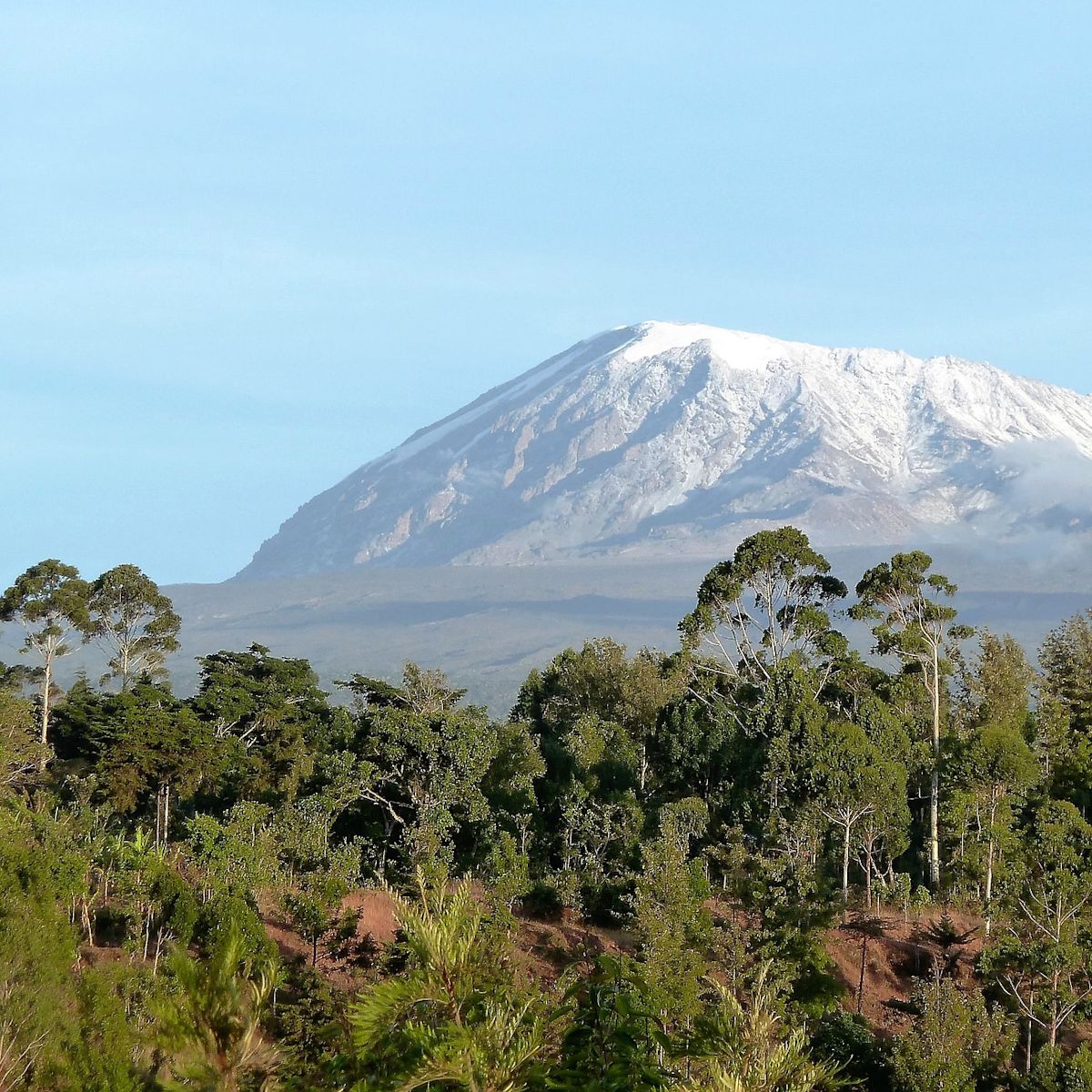 Kilimanjaro from a distance