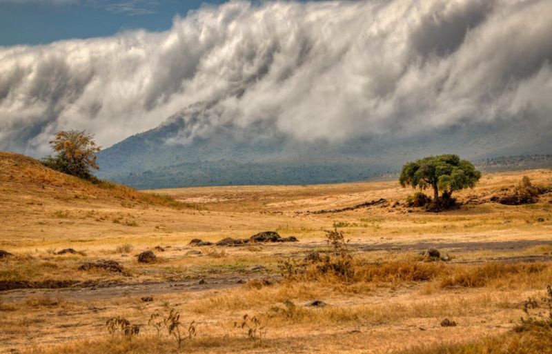 Ngorongoro Crater clouds and dry landscape
