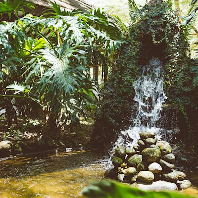 Water feature among lush vegetations at Lake Naivasha Simba Lodge in Kenya