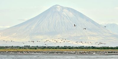 Flamingoes Lake Natron Ol Doinyo Lengai Tanzania safari