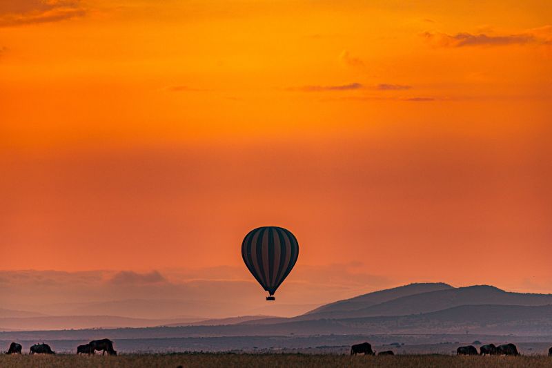 Hot air balloon sunrise ride over Africa on safari