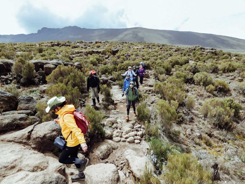 Hikers on Kilimanjaro