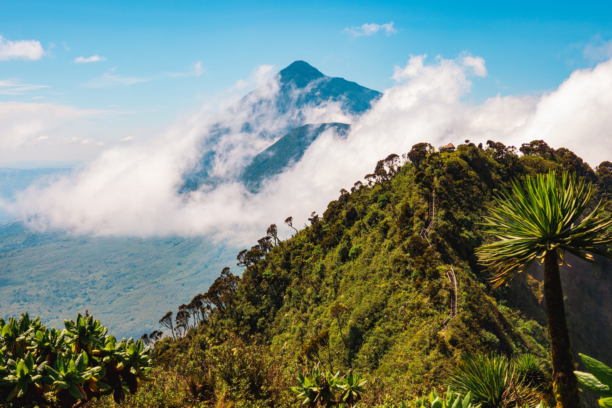 Scenic view of Mount Sabyinyo, Mount Gahinga and Mount Muhabura in the Mgahinga Gorilla National Park, Uganda