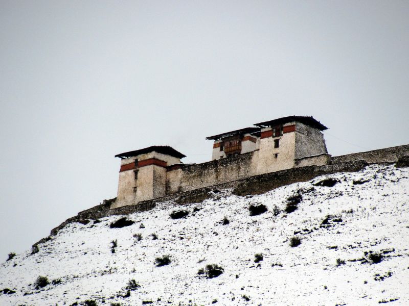 Lingzhi Yugyal Dzong, C. Finn
