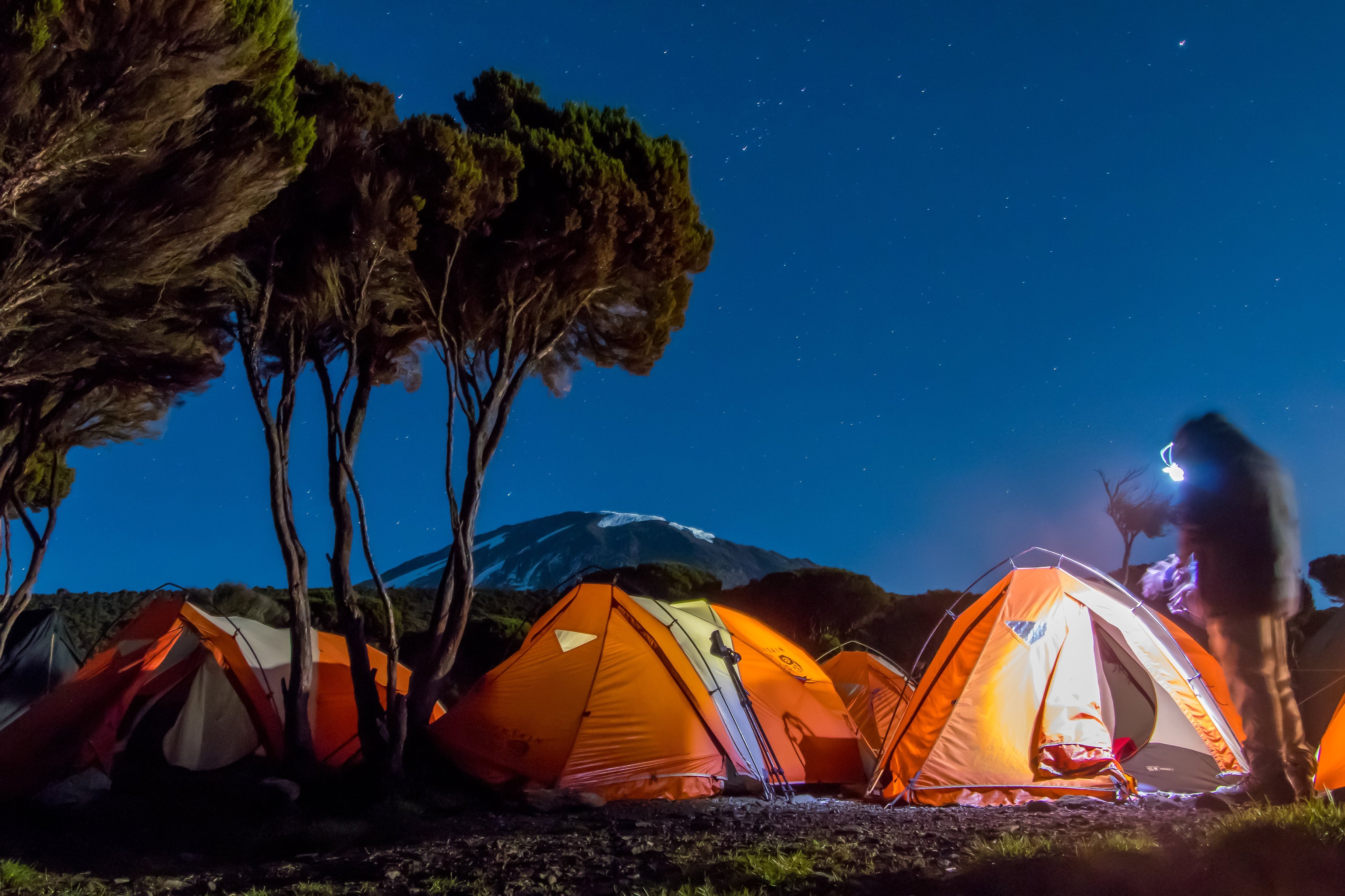 Night-time view of man standing by tents at camp on Kilimanjaro, moorland zone, campsite