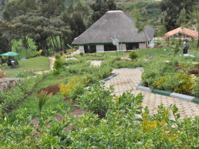 Rwanda Nyungwe Nziza Ecolodge