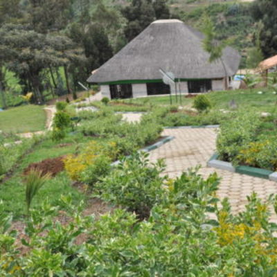 Rwanda Nyungwe Nziza Ecolodge