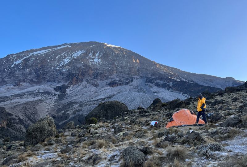 8-day Lemosho tent and Uhuru Peak alpine desert Kilimanjaro