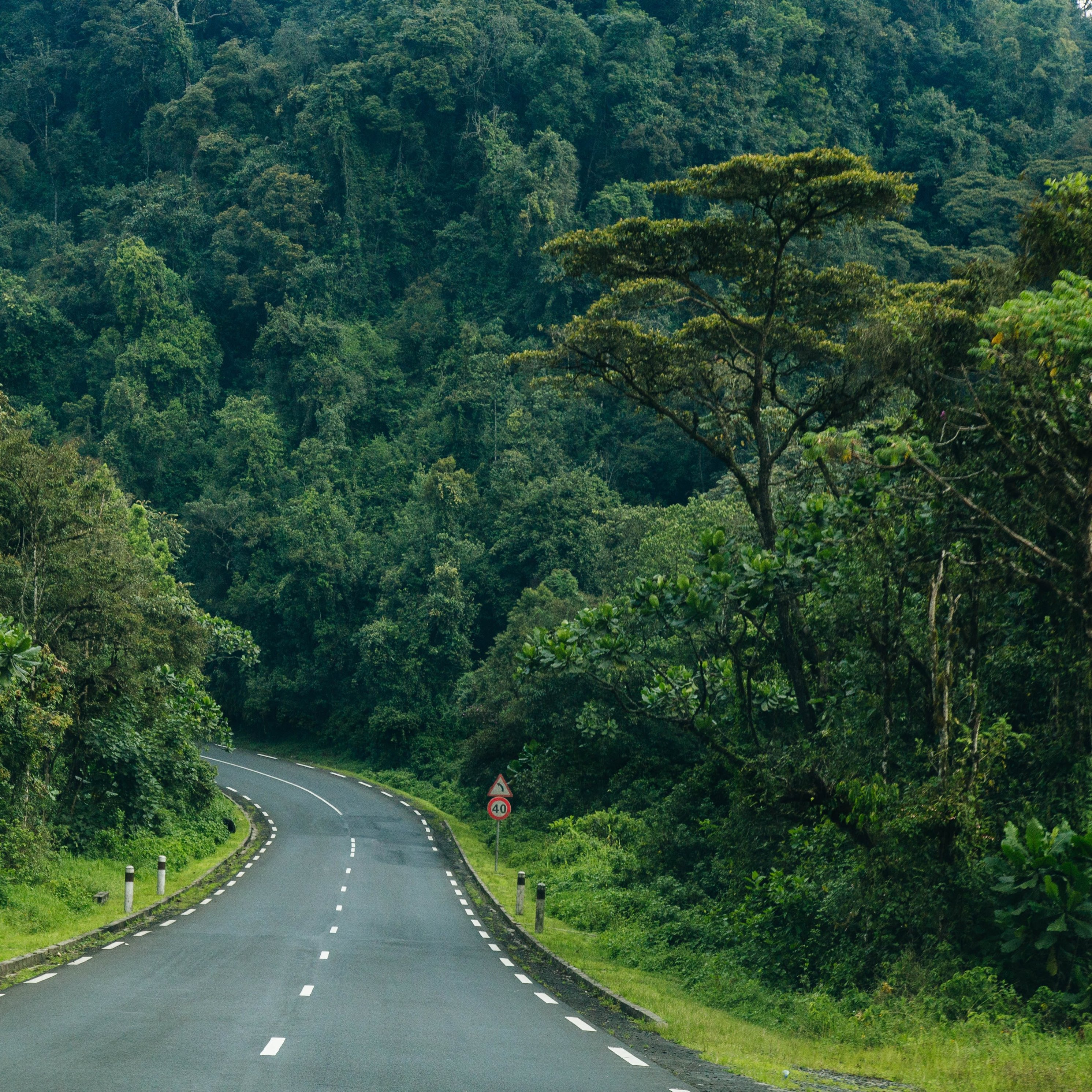 Nyungwe Forest National Park, road, Rwanda