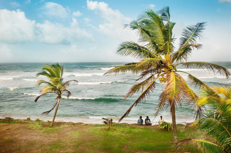 Sri Lanka beach palms trees people seated
