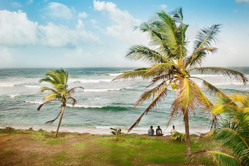 Sri Lanka beach palms trees people seated