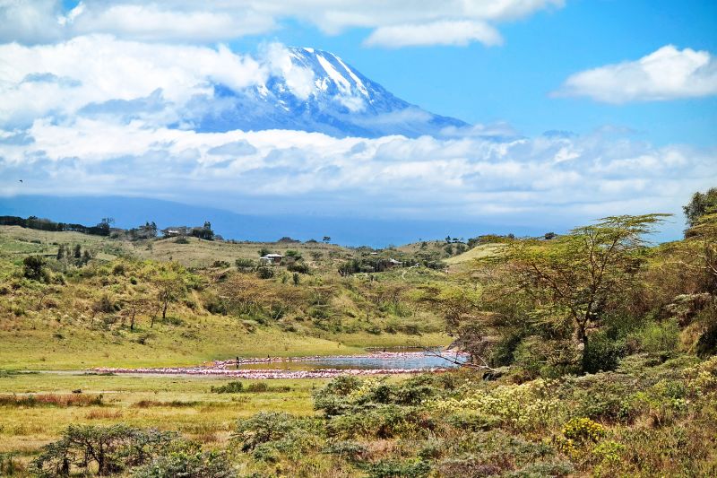 Kilimanjaro as seen from Arusha National Park 