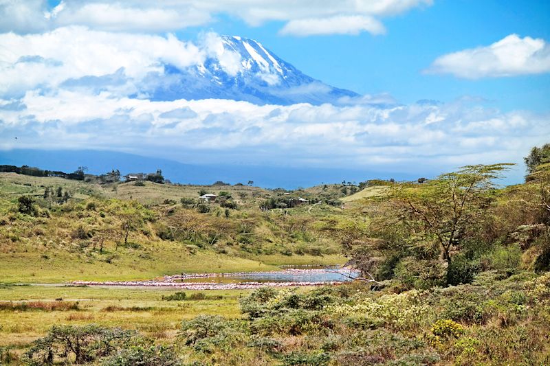 Kilimanjaro as seen from Arusha National Park 