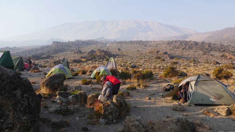 Follow Alice campsite on Kilimanjaro