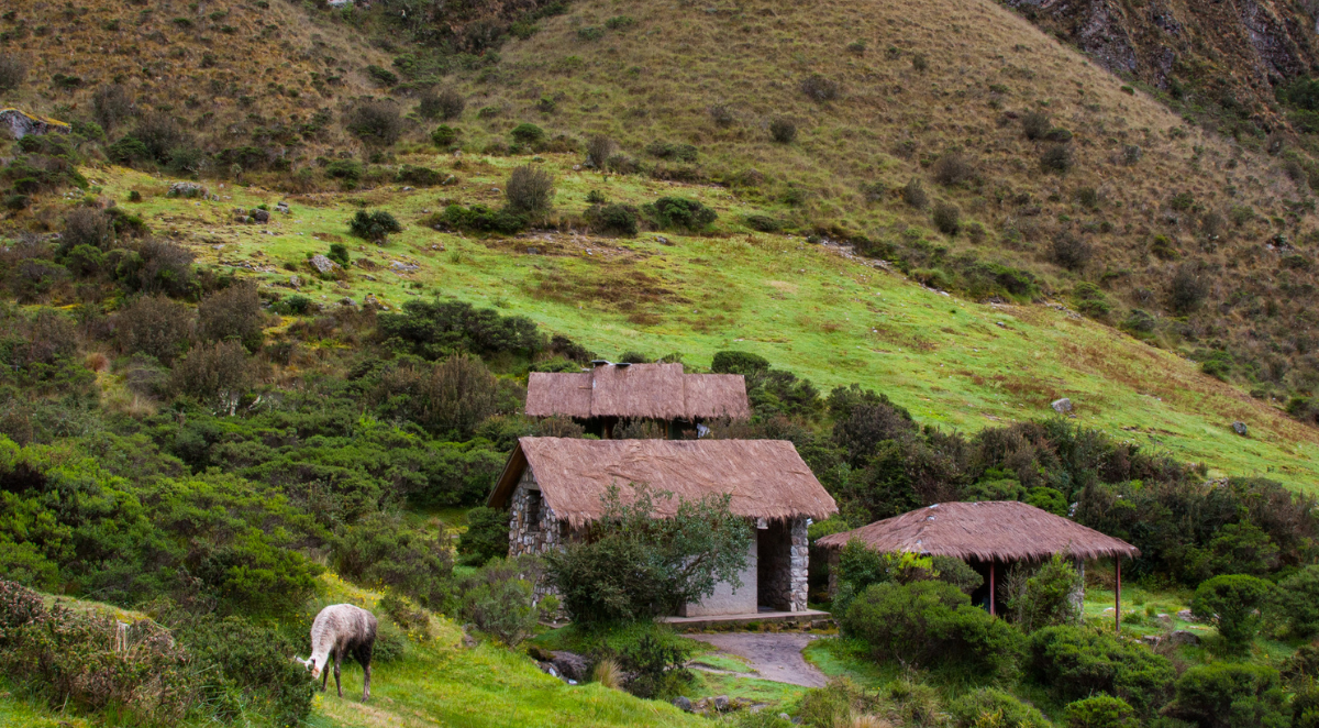 Along the Inca Trail houses and Llama are seen in Andes panorama. 