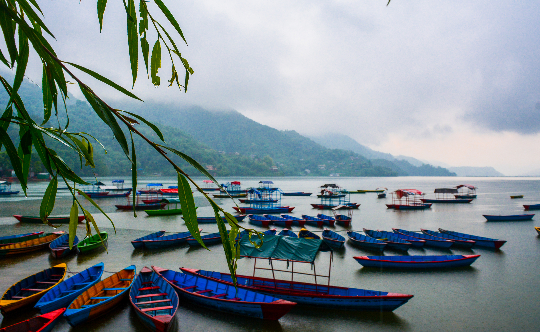 view a rainy day with colourful boat in Pokhara Phewa lake, Nepal