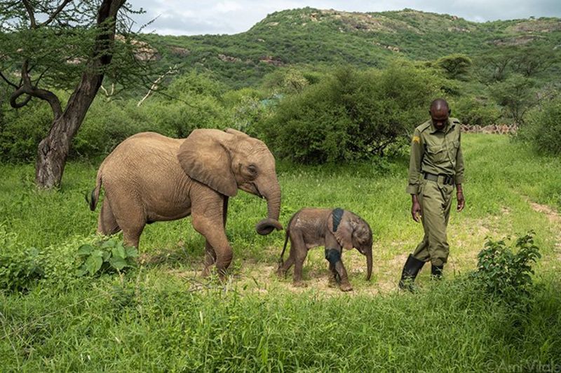 Reteti elephant orphanage plus keeper
