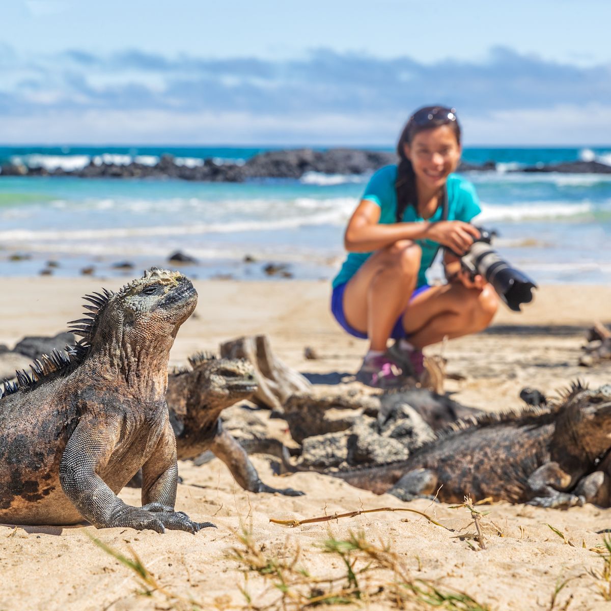 Woman on a beach photographing iguanas