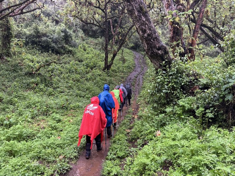 Kilimanjaro rainforest hikers ponchos rainy day 