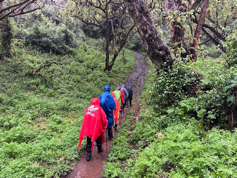 Kilimanjaro rainforest hikers ponchos rainy day