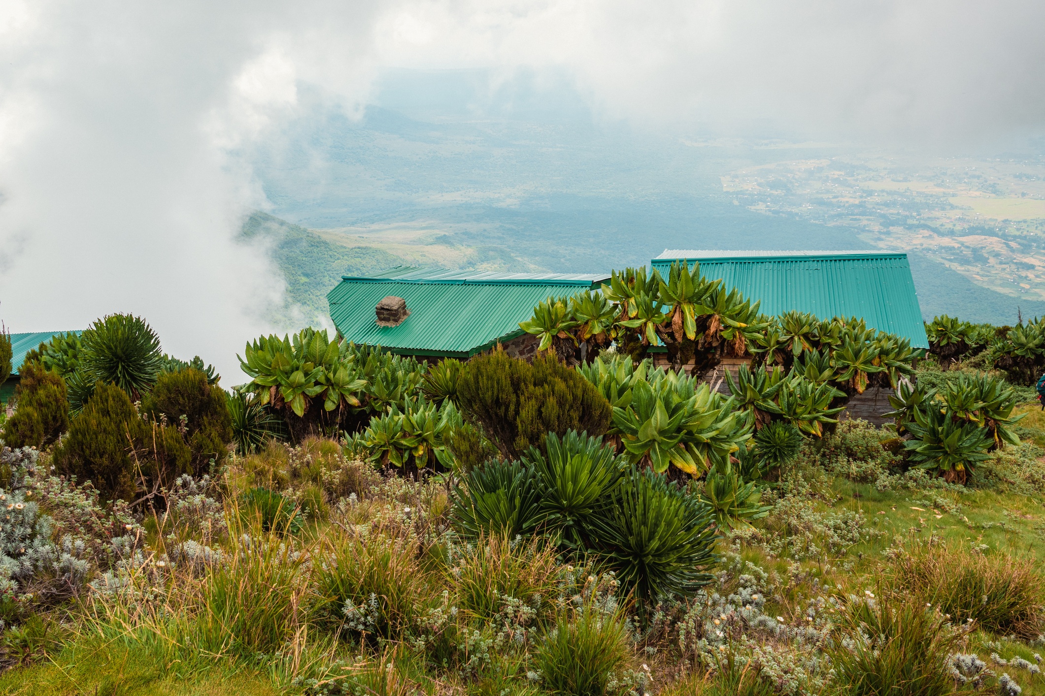 Cabins in Mountains against on a foggy day Mount Muhabura in the Mgahinga Gorilla National Park, Uganda