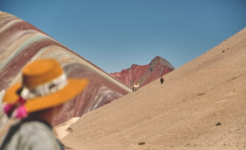 Young girl in front of the Vinicunca Rainbow Mountain with two llamas on it, Peru