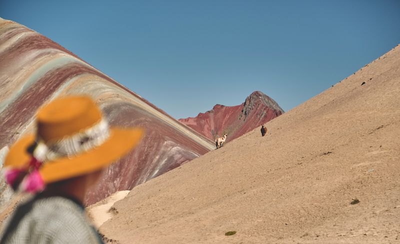 Young girl in front of the Vinicunca Rainbow Mountain with two llamas on it, Peru