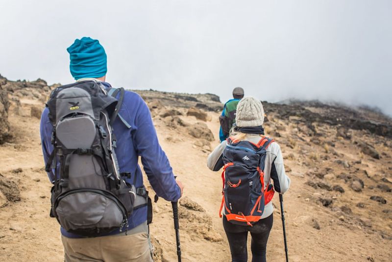 Hike Mt Kilimanjaro on the Machame Route