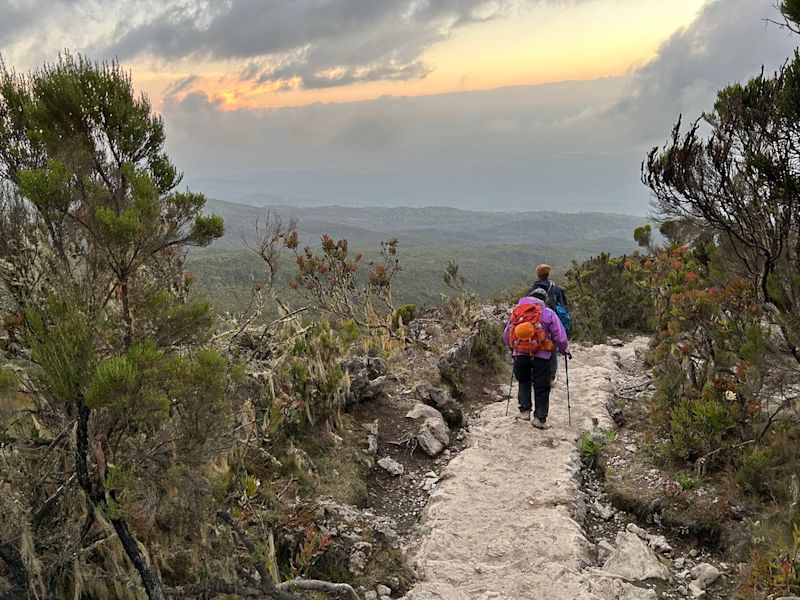 Mweka Route descent 1 January 2023 Kilimanjaro forest