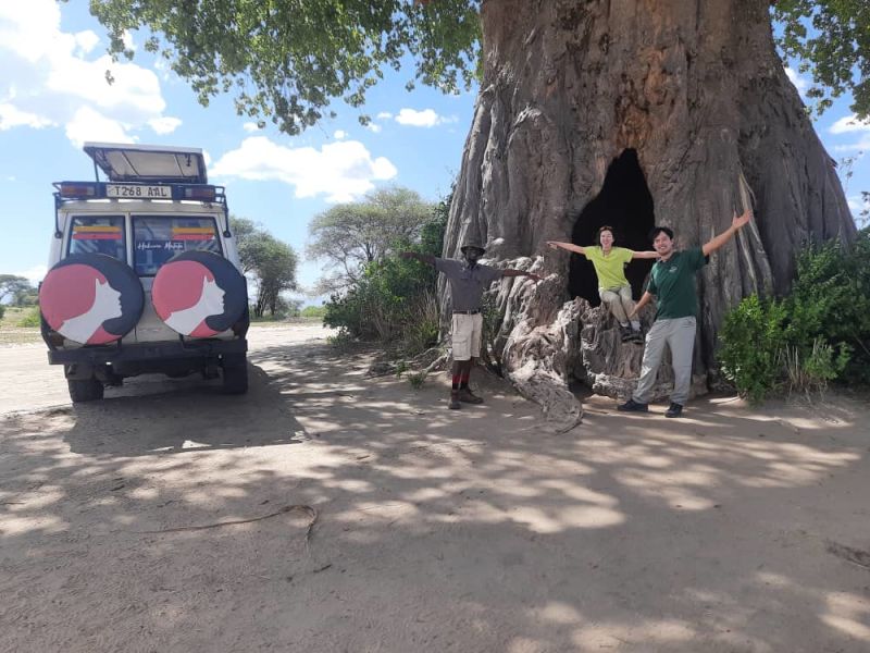 Kazi and clients with Follow Alice vehicle by baobab tree in Tarangire National Park, Tanzania