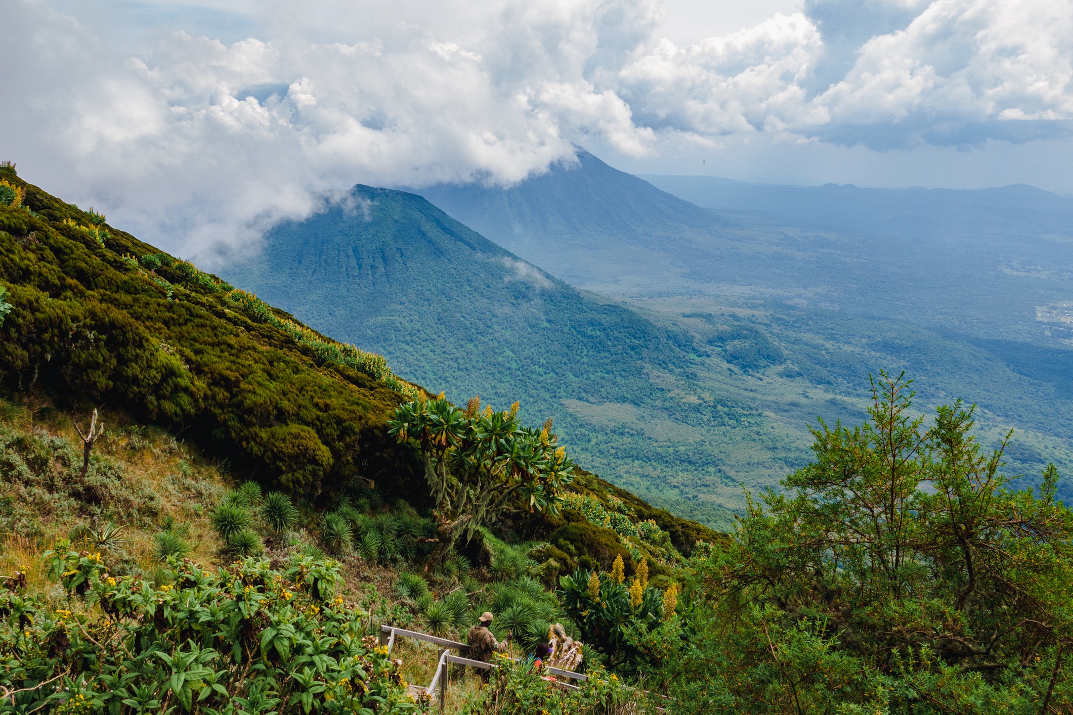 Scenic view of Mount Gahinga and Mount Sabyinyo seen from Mount Muhabura in the Mgahinga Gorilla National Park, Uganda