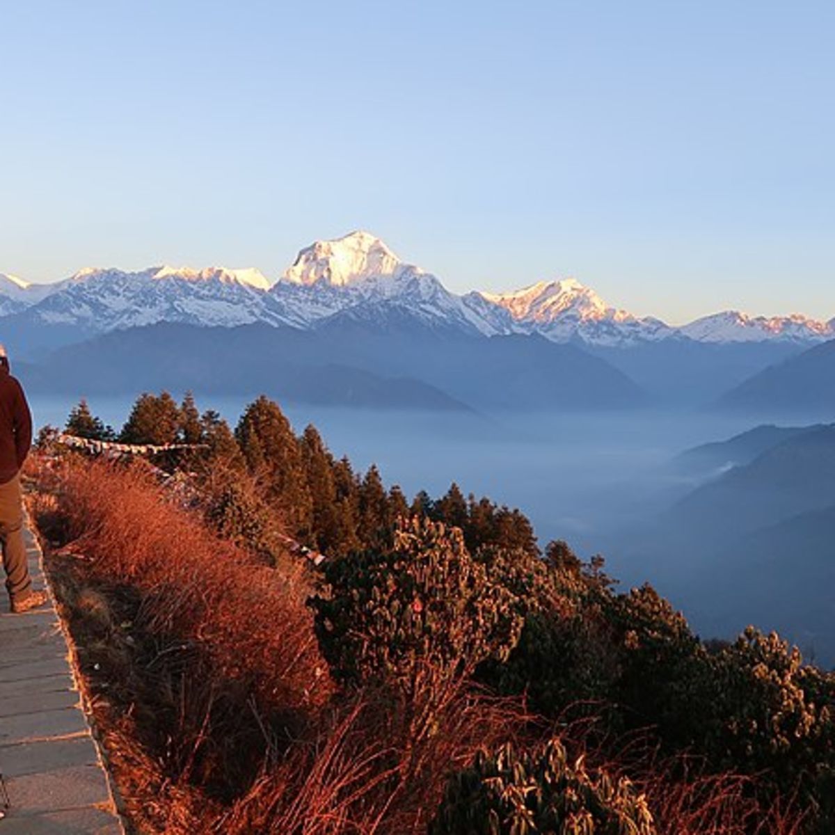 Poon Hill, Annapurna, trekking in Nepal