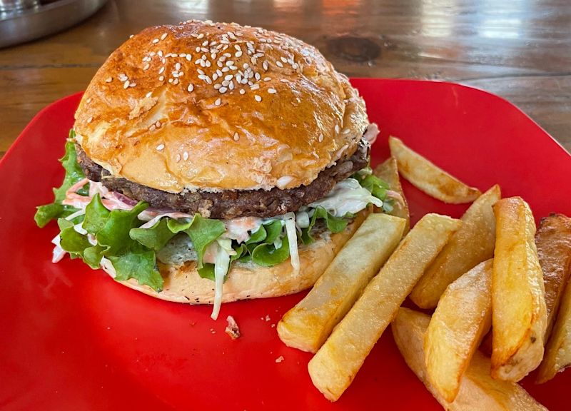 burger on red plate in Manang on the Annapurna Circuit