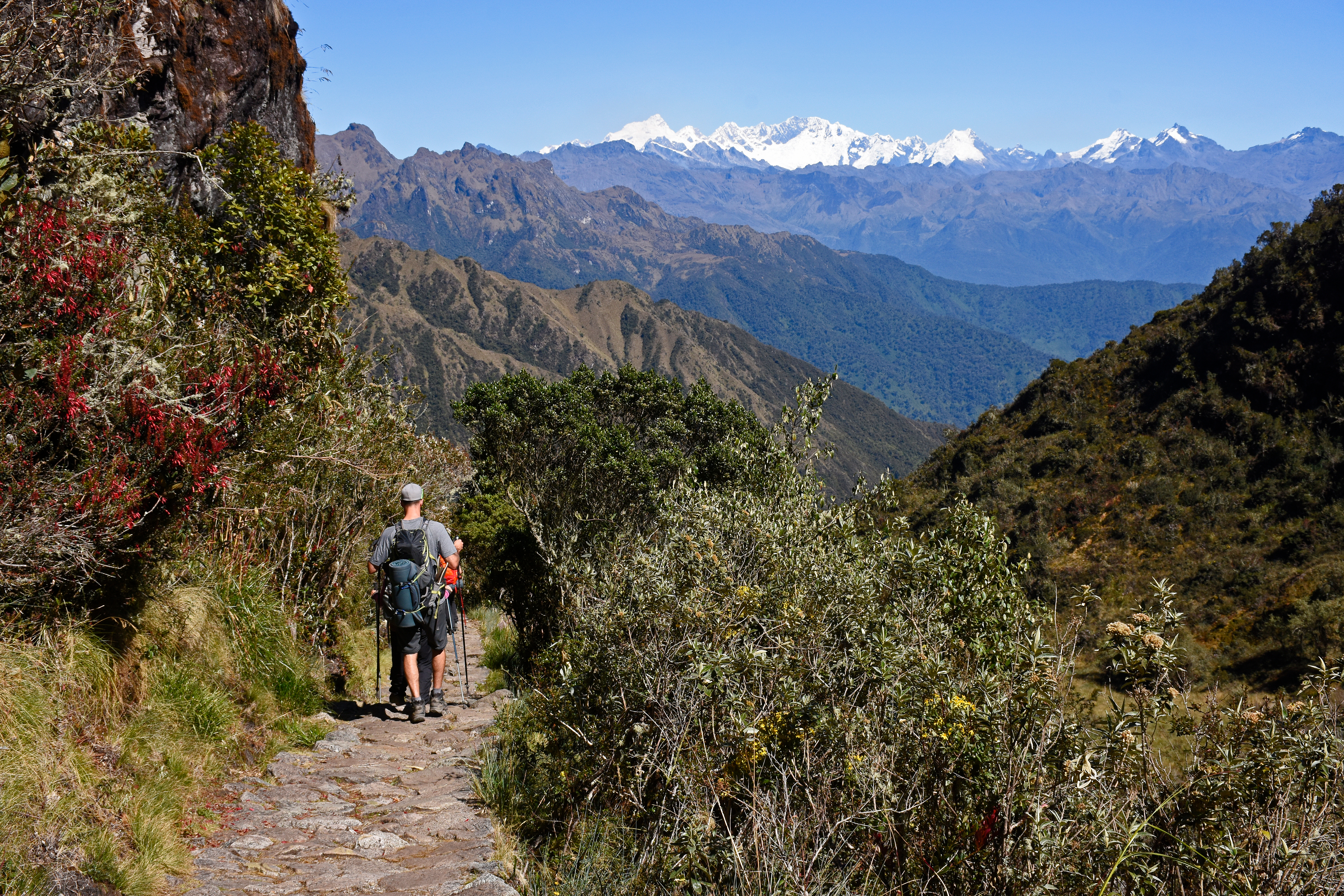 Trekkers hiking in the Andes in Inca Trail en route to Machu Picchu in Peru 