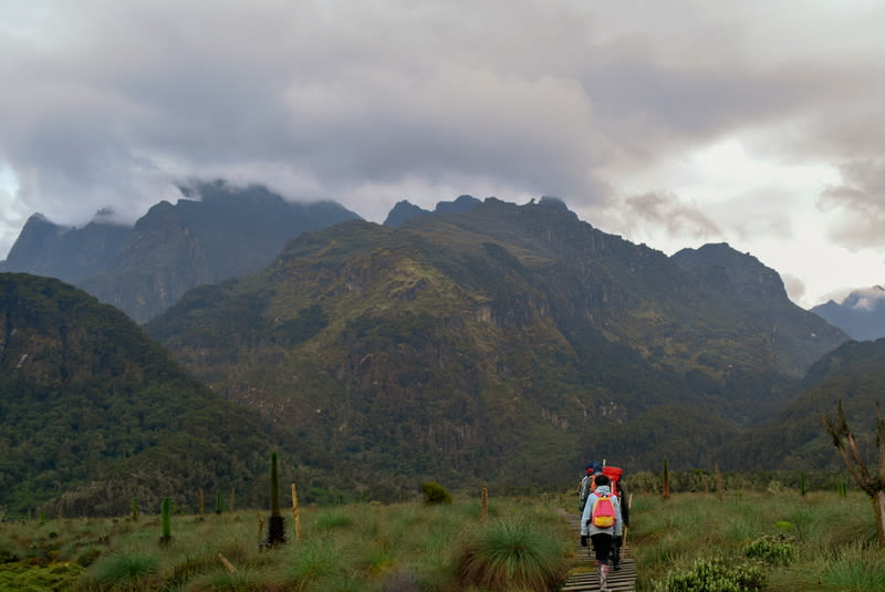 Rwenzori Mountains