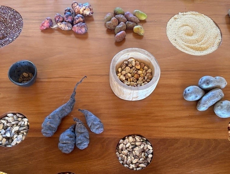 Maize seeds and corn cobs of Sacred Valley on a wood table, viewed from above