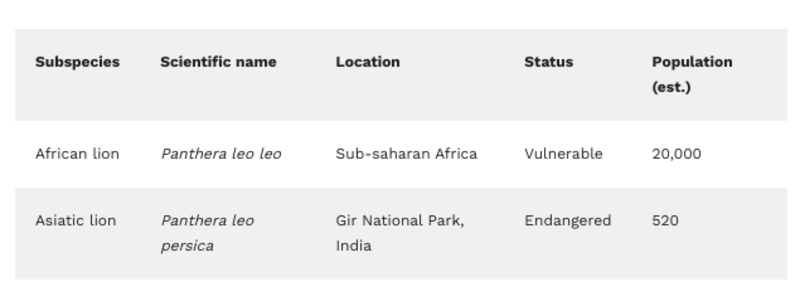 Lion species table