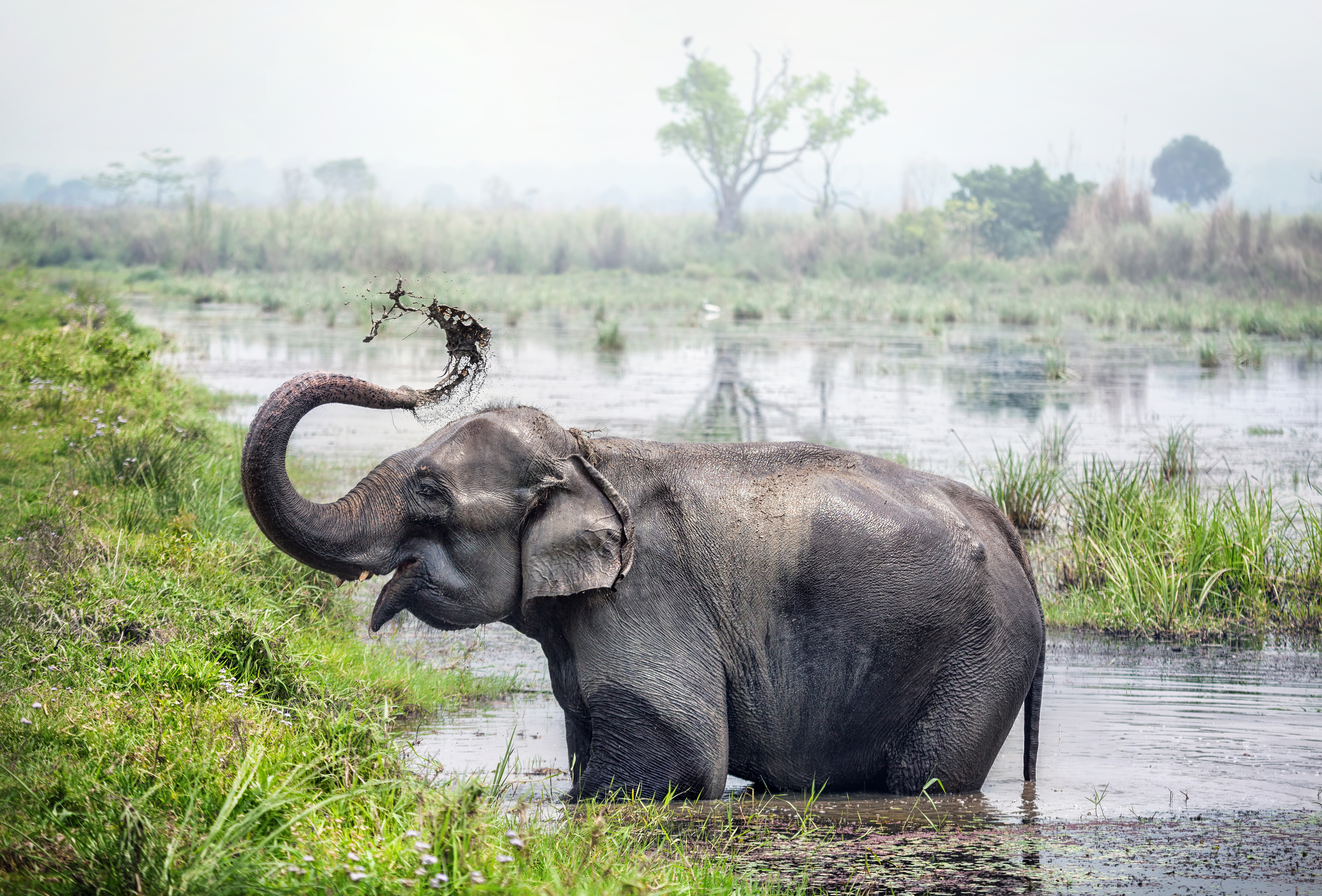Chitwan National Park