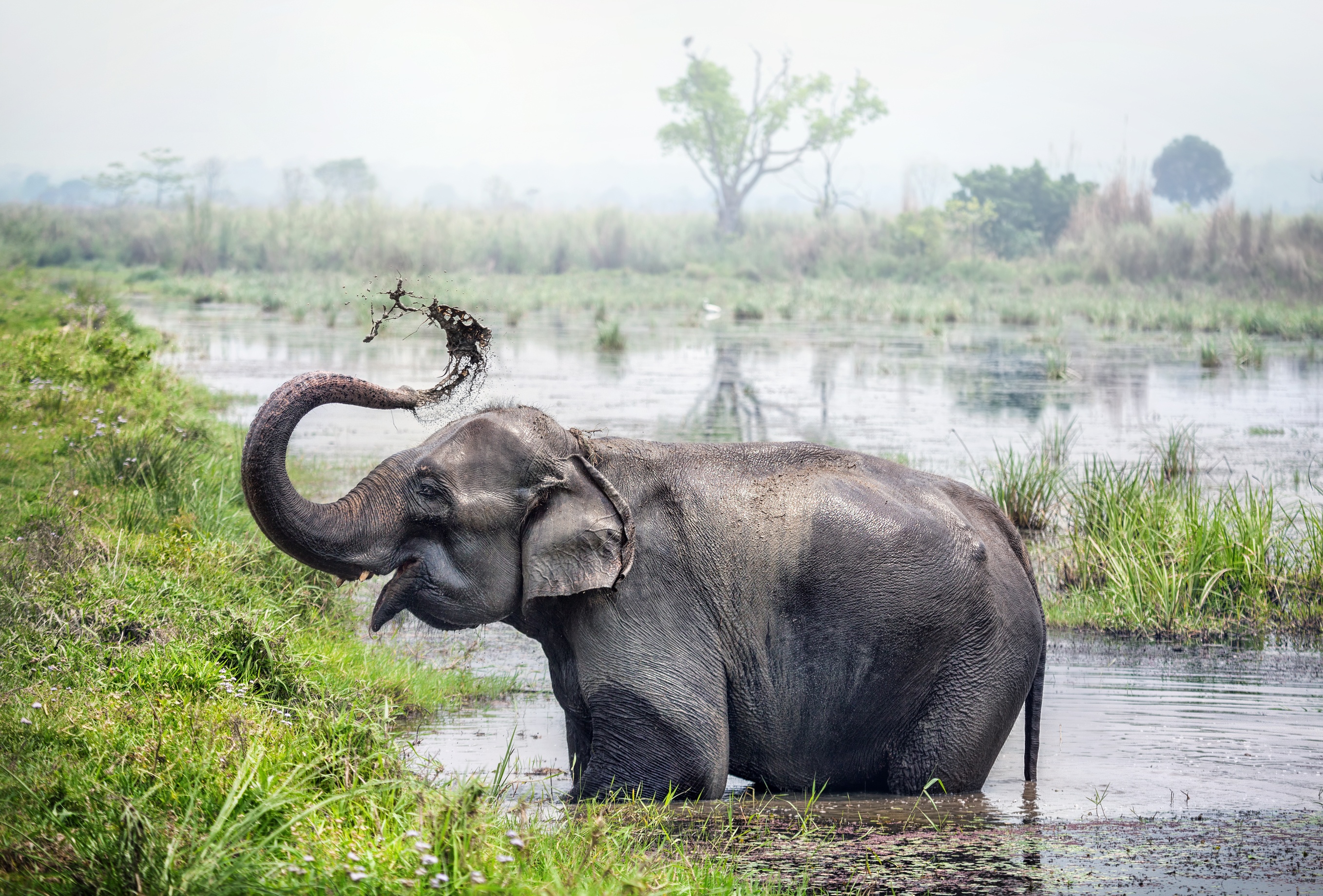 Chitwan National Park