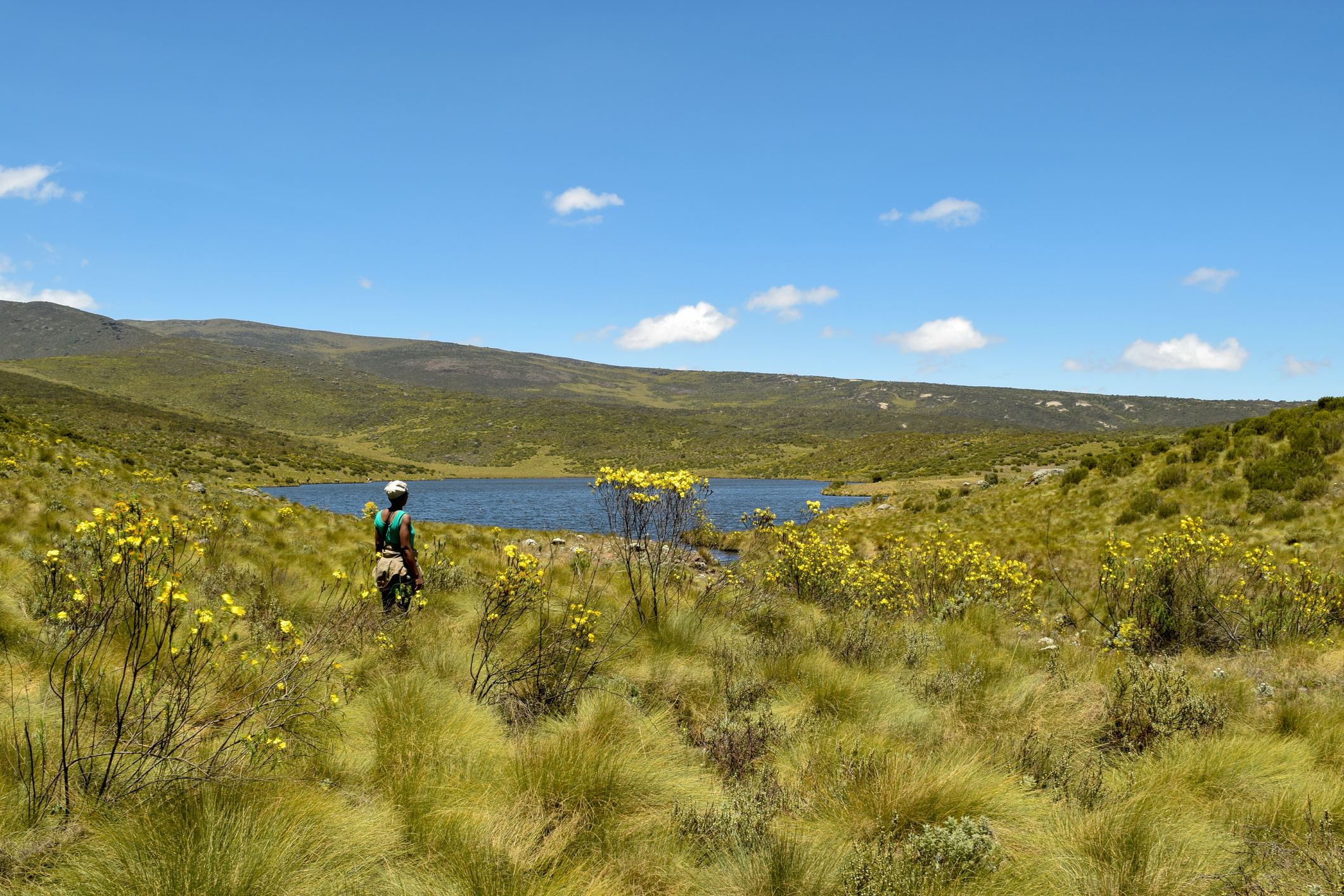 Lake Ellis against the volcanic landscapes of Mount Kenya, Chogoria Route