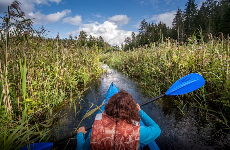 Woman on kayak in marshland