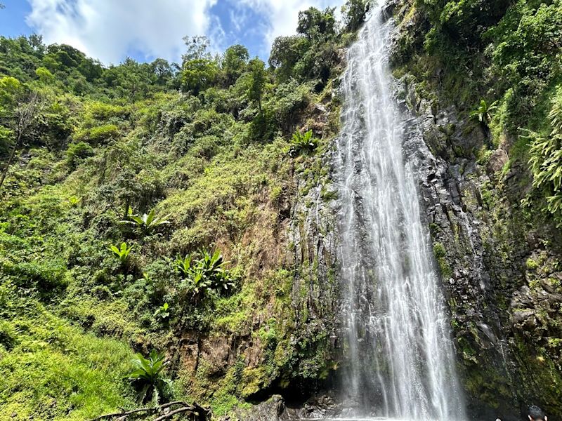 Kilimanjaro Materuni Waterfall