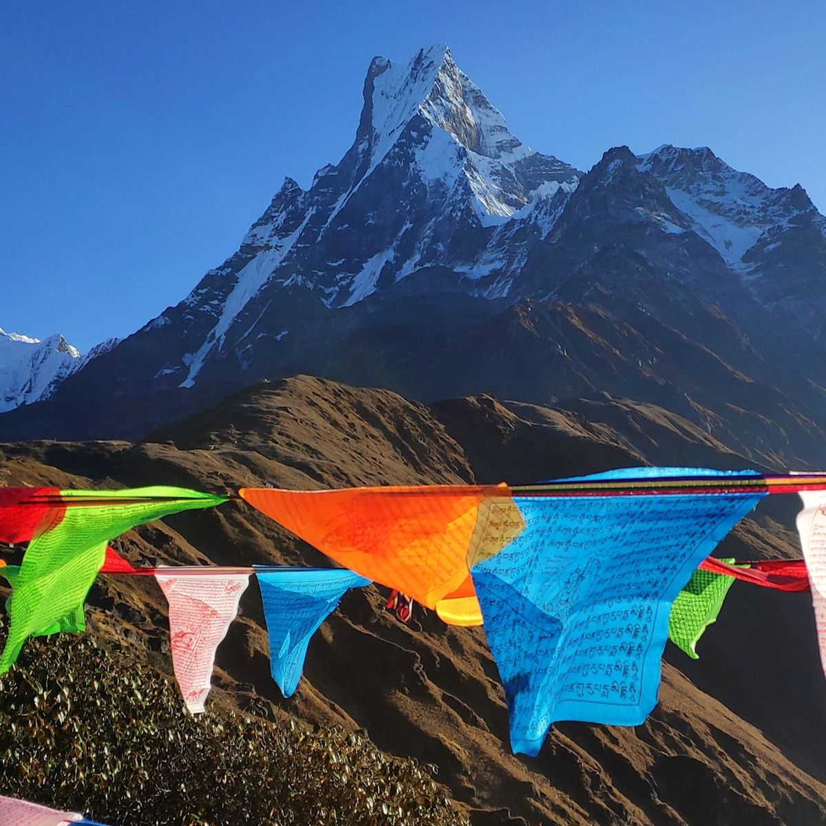 Annapurna mountain and prayer flags