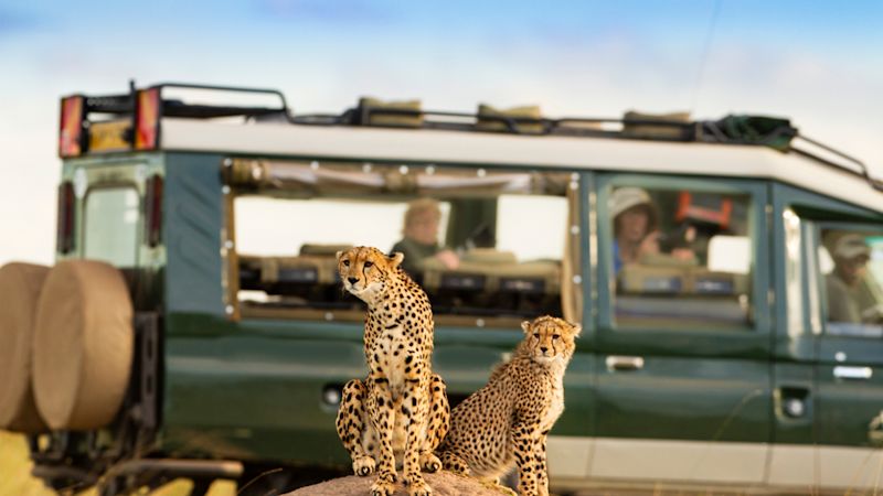 a coalition of cheetahs, what is the Serengeti famous for?