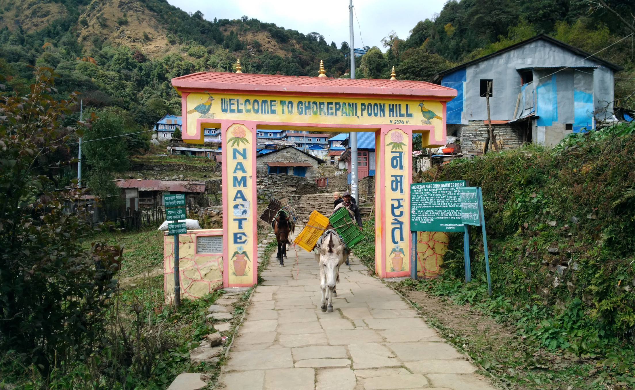 Arriving At Ghorepani Village Nepal.